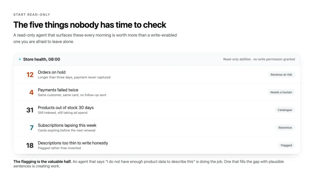 Mock daily store health report listing orders on hold, twice-failed payments, long term out of stock products, lapsing subscriptions and products flagged as having too little data to describe