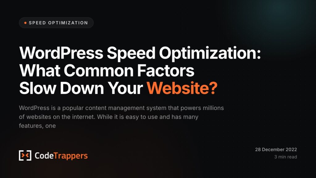 WordPress Speed Optimization: What Common Factors Slow Down Your Website?
