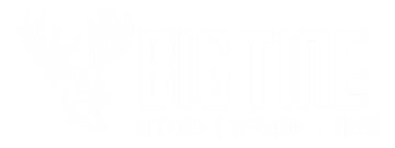 Bigtine client logo