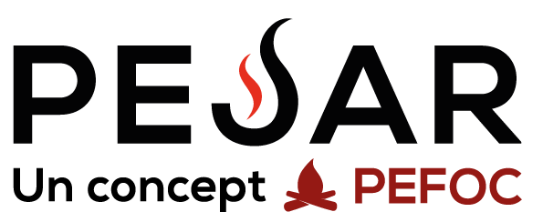 Pejar client logo
