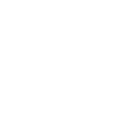 Sorana Gioielli client logo