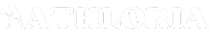 The Sportz Store client logo